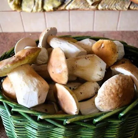 Сasa de vacaciones In Natura 2000 With Fishing Tuczno (Walcz)