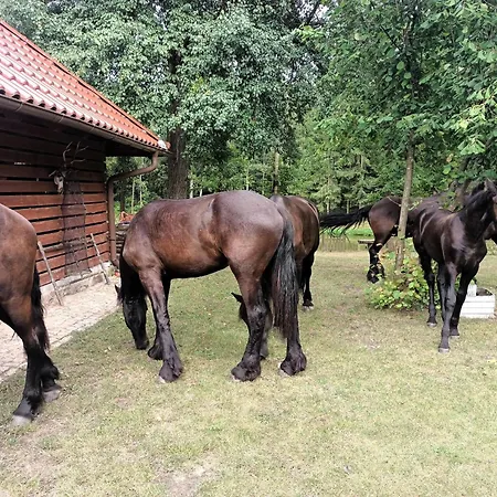 In Natura 2000 With Fishing Сasa de vacaciones *